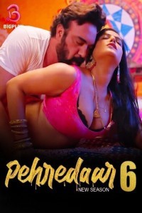 Pehredaar (2024) BigPlay Original